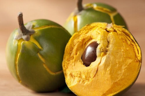 Lucuma Frucht