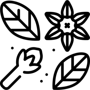Gewürz-Lexikon