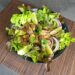 Loc_Lac-Rezept