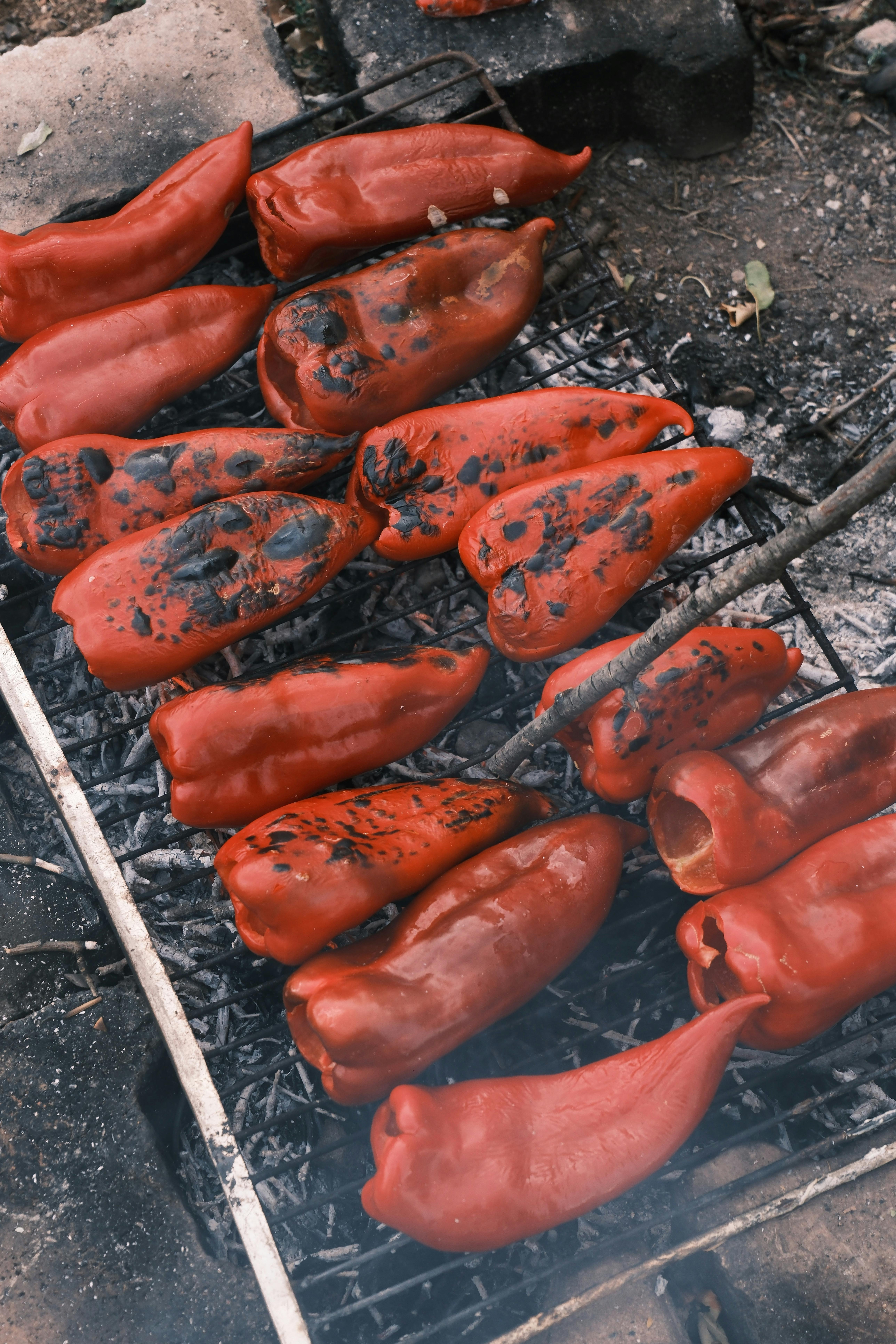 Gegrillte Paprika