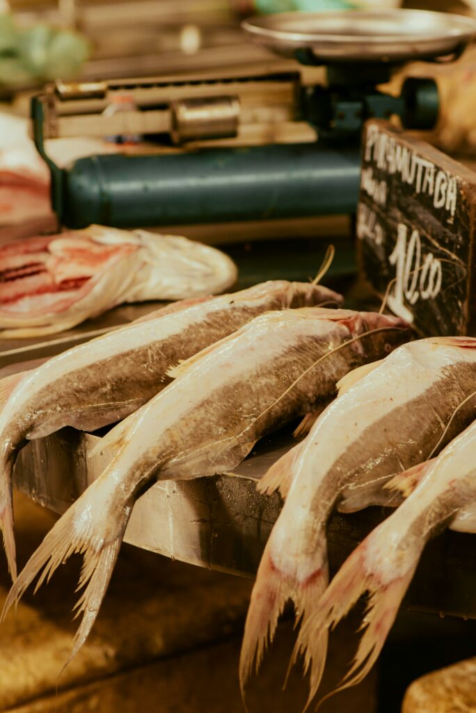 Fisch
