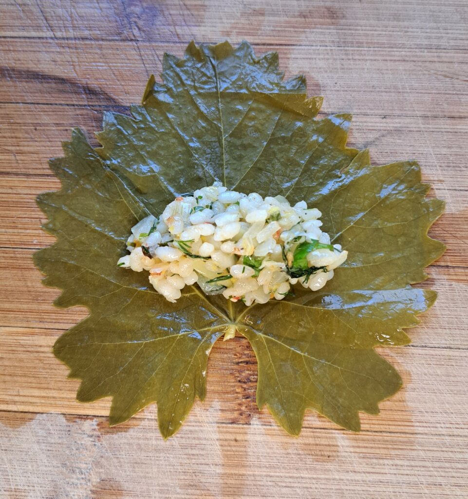 Weinblätter-falten1