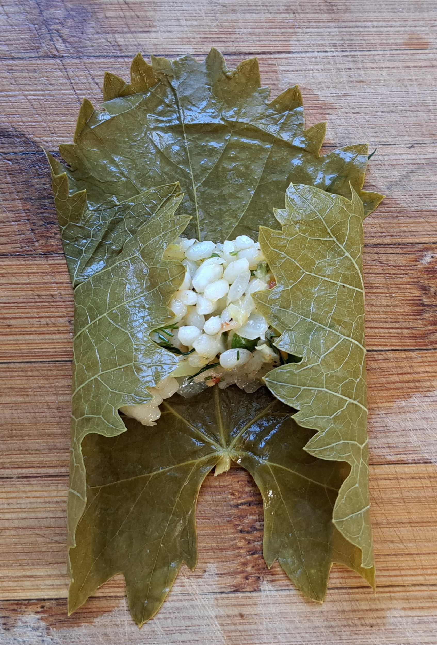 Weinblätter-falten2