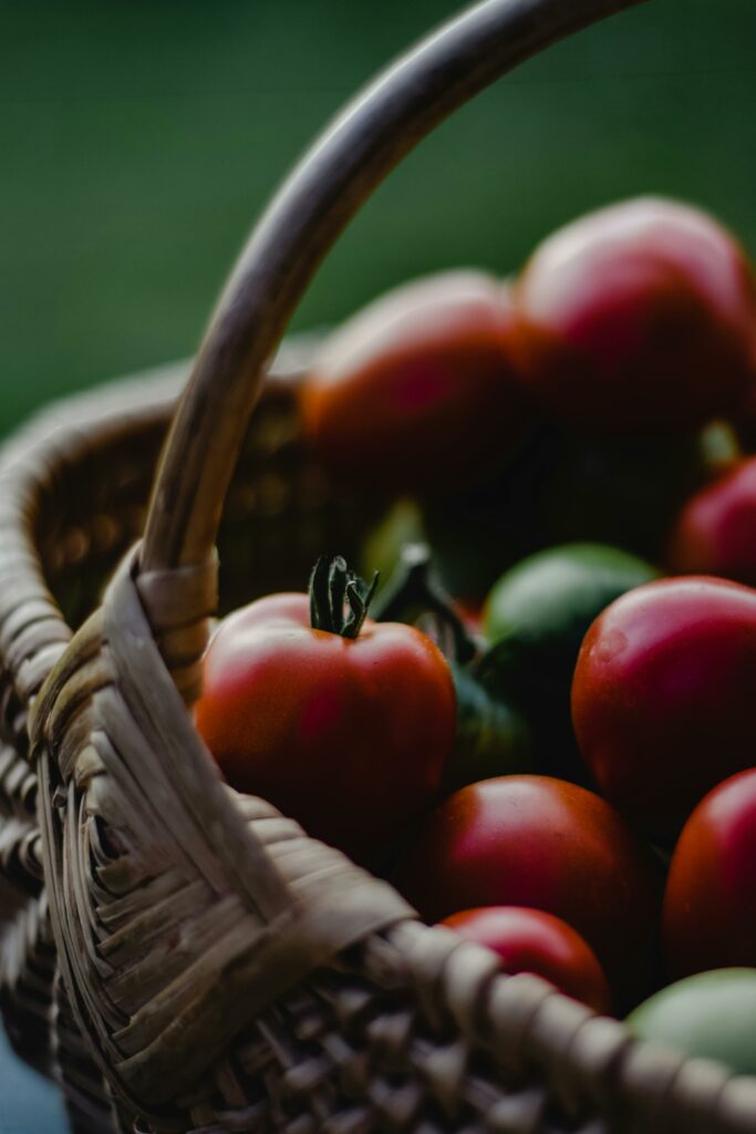Tomaten