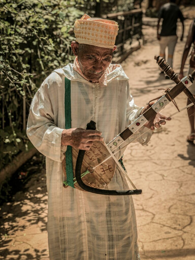 Sintir Instrument