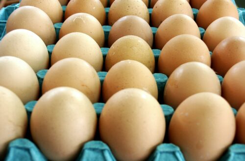 Eier gut oder schlecht